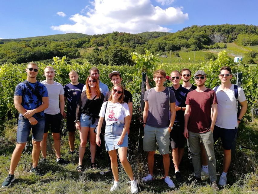 Vienna: Full-Day Vienna Woods Wine Tasting Tour - A few practical ways to improve the day