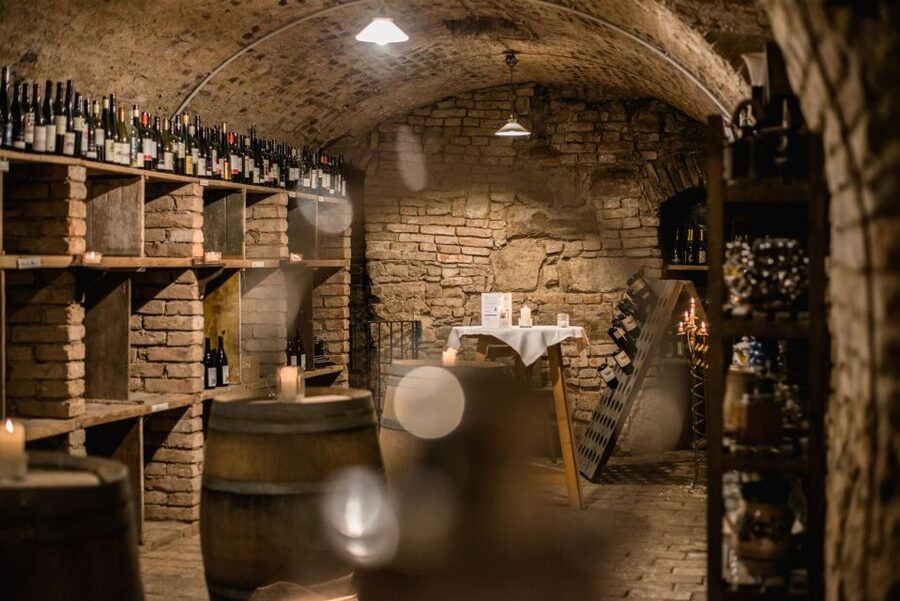 Vienna: Hidden Wine Cellars Tasting Experience - Key points to know before booking