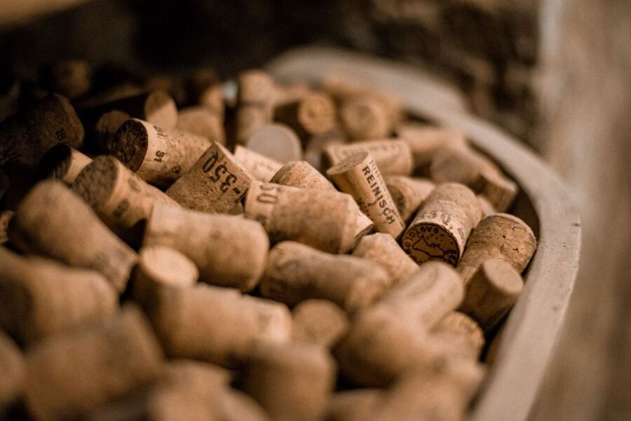 Vienna: Hidden Wine Cellars Tasting Experience - Meeting at Stephansplatz and setting off below the city