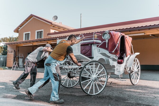 Vienna Horse-drawn Carriage Guided Tour - The Ringstraße and Vienna’s grand center