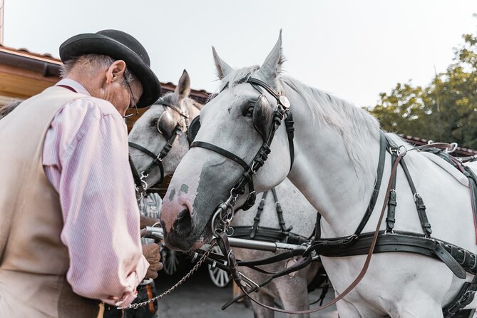 Vienna Horse-drawn Carriage Guided Tour - What the English presentation is like