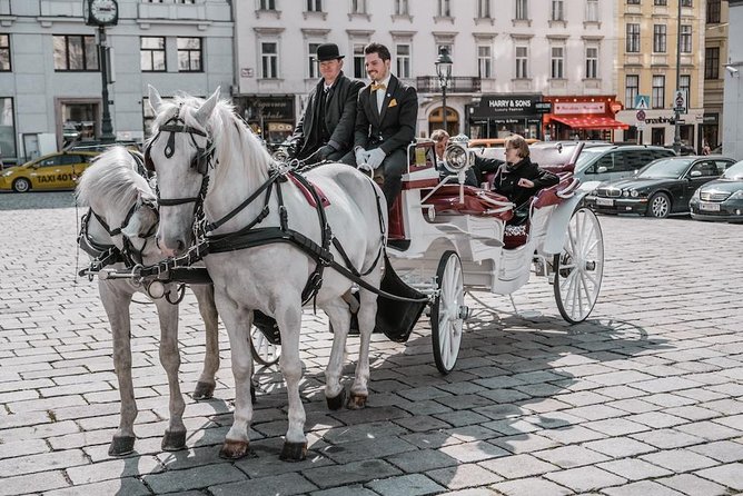 Vienna Horse-Drawn Carriage Ride with Sparkling Wine and Food - A royal-looking ride through Vienna’s inner city