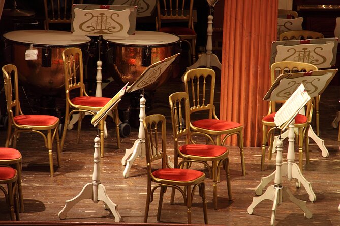 Vienna: Meet Beethoven Life Private Guided Walking Tour - Hofburg, Volksgarten, Burgtheater, and Rathaus