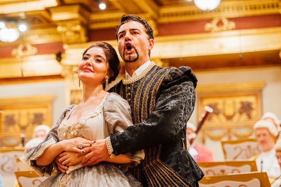 Vienna: Mozart Concert and Austrian Delights Dinner - Practical details that can save your evening