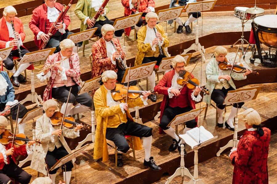 Vienna: Mozart Concert and Austrian Delights Dinner - Who will enjoy this evening most