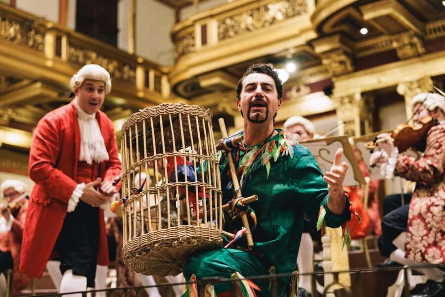 Vienna: Mozart Concert at the Vienna State Opera - Dress code, comfort, and practical details