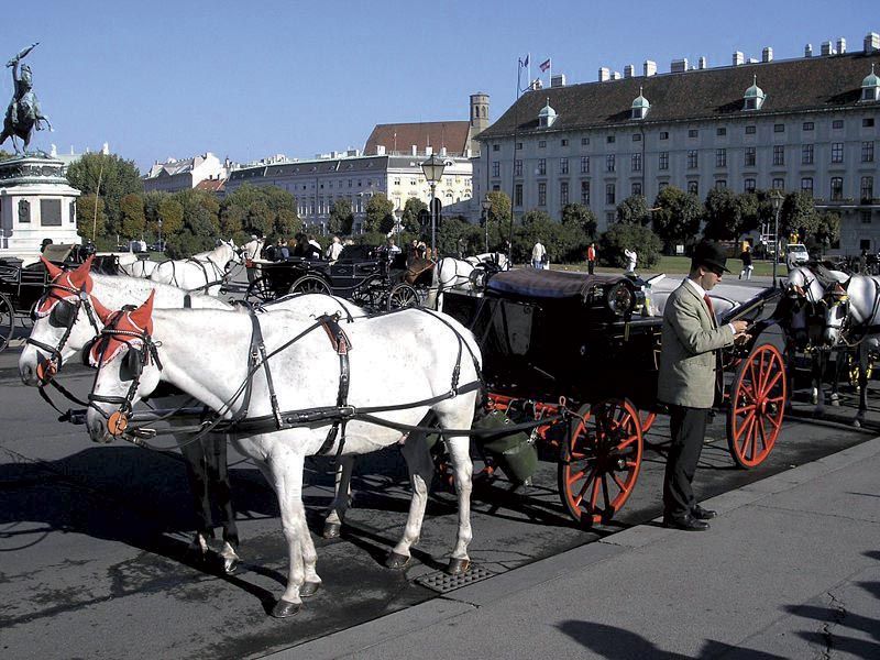Vienna: Mozart Concert with Dinner and Carriage Ride - What the concert package adds