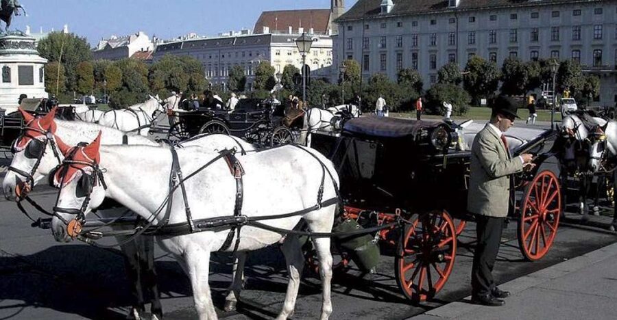Vienna: Mozart Concert with Dinner and Carriage Ride - Starting at Hotel Imperial at 6:00 PM