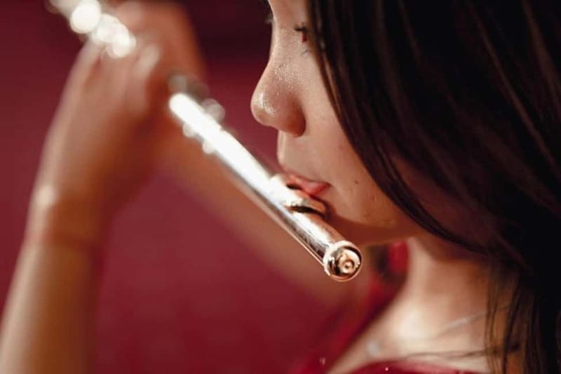 Vienna: Mozart & Strauss Classical Concert at Börse Palace - The music: familiar favorites with a few pleasant surprises