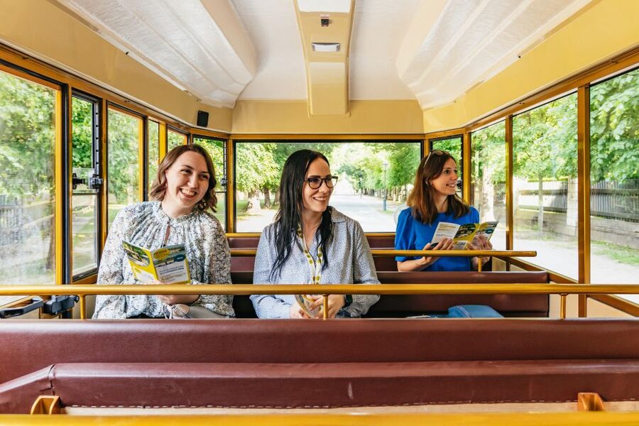 Vienna: Panorama Train Tickets to explore Schönbrunn Palace - Who should book the Panoramabahn?