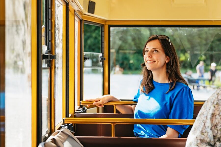 Vienna: Panorama Train Tickets to explore Schönbrunn Palace - What the ticket costs and what it does not cover