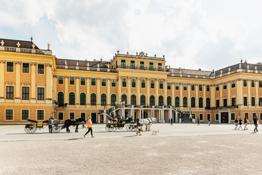 Vienna: Panorama Train Tickets to explore Schönbrunn Palace - Accessibility, families, and comfort
