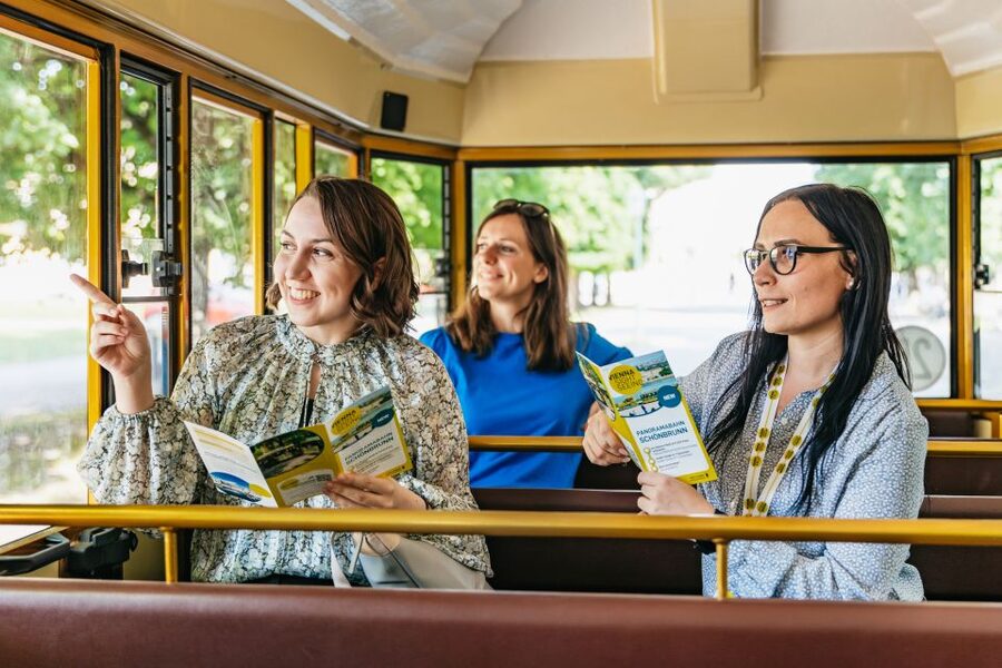 Vienna: Panorama Train Tickets to explore Schönbrunn Palace - Practical advice for a smoother ride