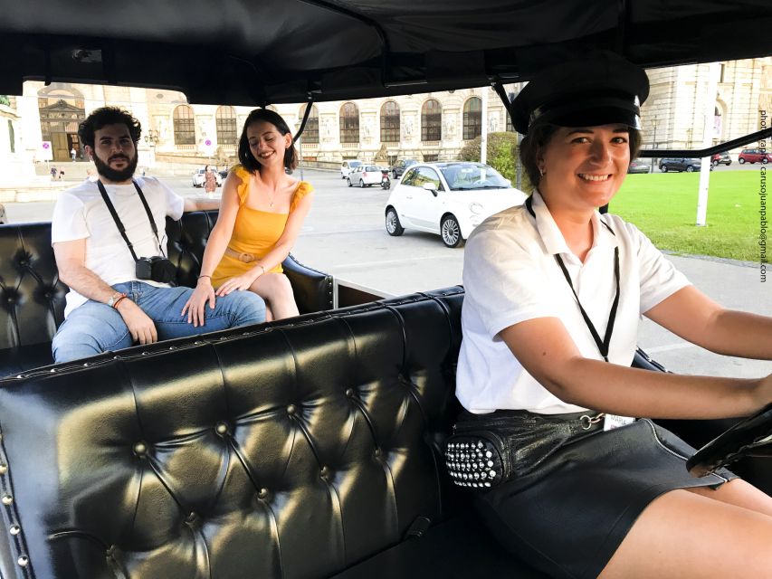 Vienna: Private Electric Car Sightseeing Tour - What the main sights mean from the car