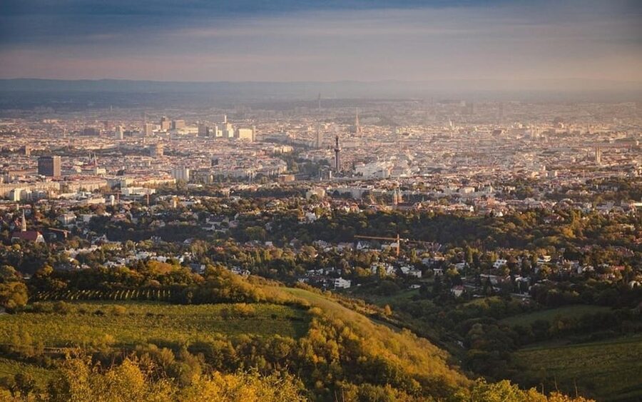 Vienna: Private Half-Day Sightseeing Tour - What Your Driver Can and Cannot Do