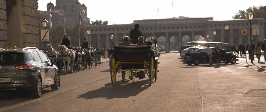Vienna: Private Walking Tour to The Hofburg & Graben Street - Hofburg Palace and the Spanish Riding School