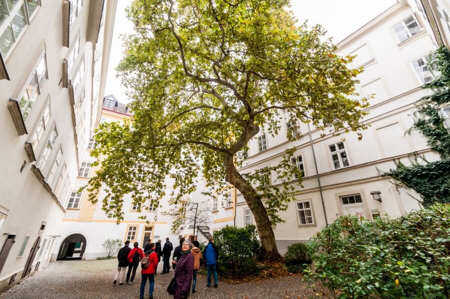Vienna: Romantic Old Town 2-Hour Discovery Tour - Myths, animals, and Vienna’s stranger stories