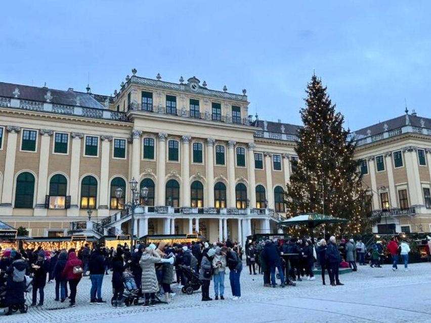 Vienna: Schönbrunn Palace & Christmas Market Walking Tour - Should you book the Schönbrunn Christmas tour?