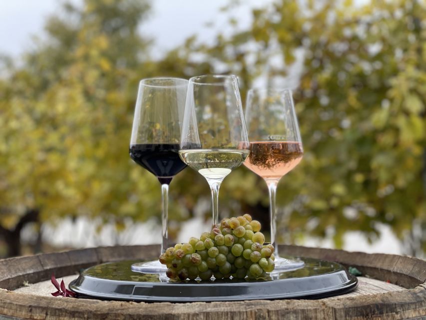 Vienna: Schönbrunn Palace Entry Ticket and Wine Tasting - Key points at a glance
