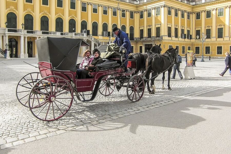 Vienna: Schönbrunn Palace & Gardens Skip-the-Line Tour - Should you book Schönbrunn Palace with a guide?