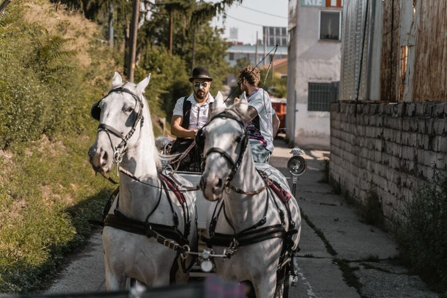 Vienna: Secrets of the Fiaker & Horse-Drawn Carriage Ride - FAQ