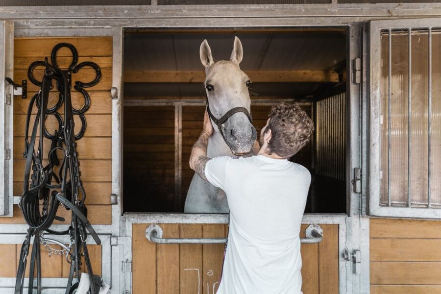 Vienna: Secrets of the Fiaker & Horse-Drawn Carriage Ride - Why this Fiaker experience feels different
