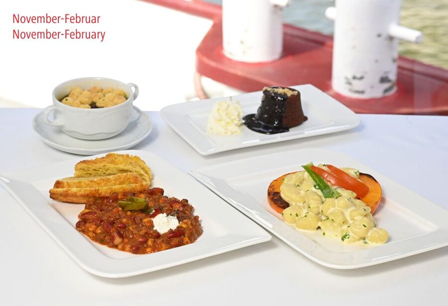 Vienna: Sightseeing Boat Tour with Lunch - Key points to know before booking