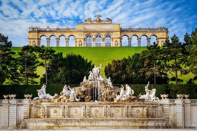 Vienna: Skip the Line Schönbrunn Palace and Gardens Guided Tour - Choosing morning or afternoon