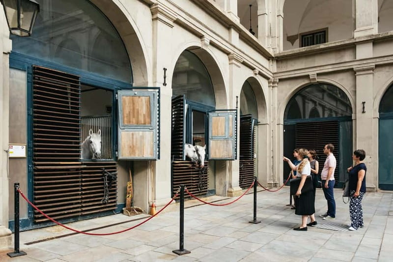 Vienna: Spanish Riding School Guided Architectural Tour - Meeting at Michaelerplatz