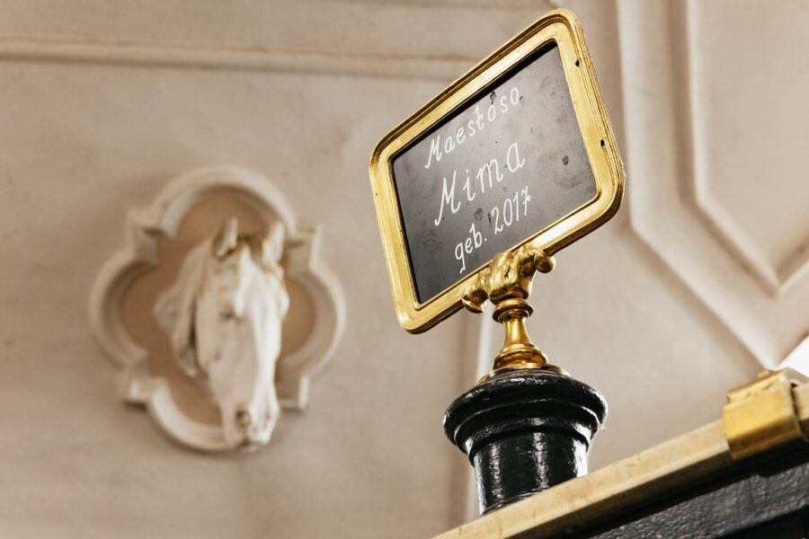 Vienna Spanish Riding School Guided Tour - Photography rules and respectful behavior