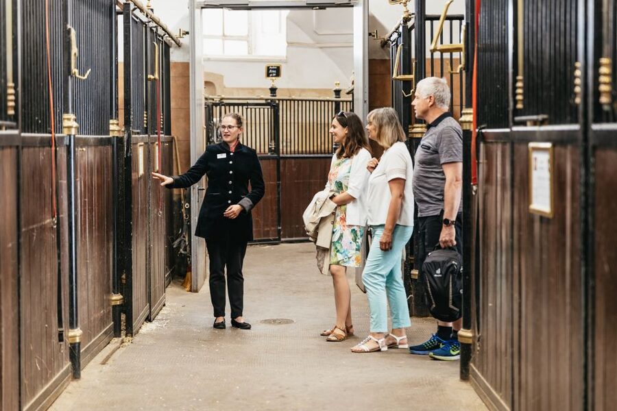 Vienna Spanish Riding School Guided Tour - What this 55-minute tour actually gives you