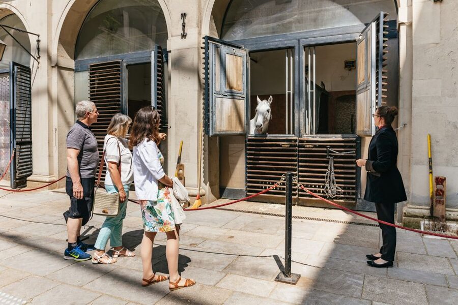 Vienna Spanish Riding School Guided Tour - The Summer Riding School and the enormous horse walker