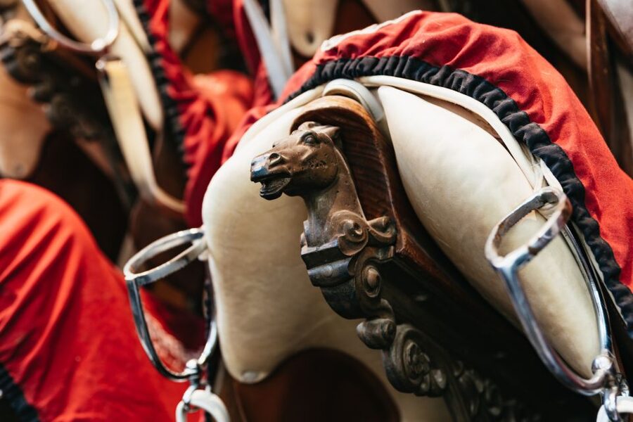 Vienna Spanish Riding School Guided Tour - Entering the Stallburg and seeing the Lipizzaners