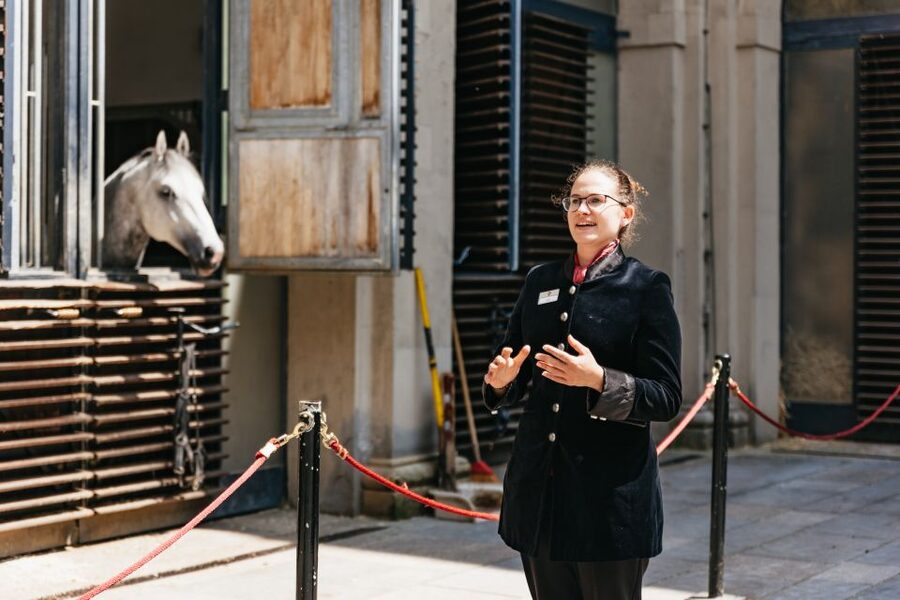 Vienna Spanish Riding School Guided Tour - Group size, hearing the guide, and tour pace