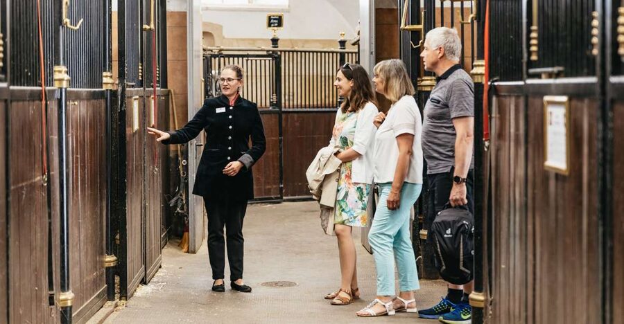 Vienna Spanish Riding School Guided Tour - Meeting the guide at Michaelerplatz