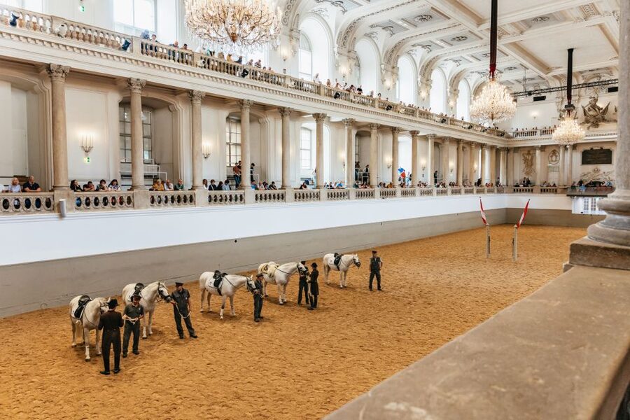 Vienna: Spanish Riding School Training - Key points to know before you book