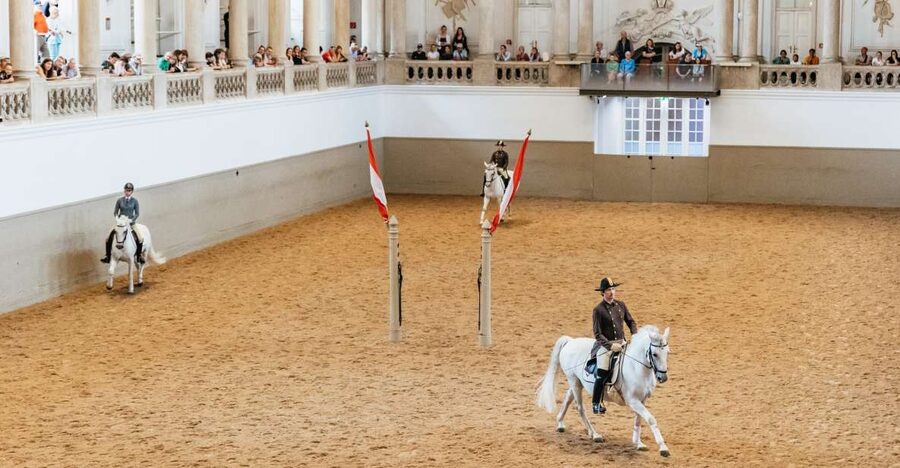 Vienna: Spanish Riding School Training - What the horses actually practice