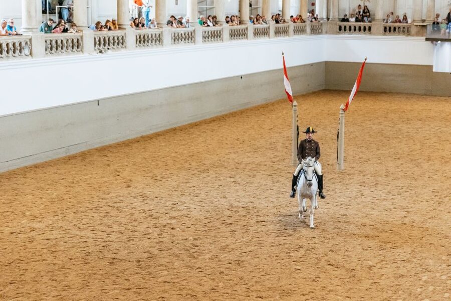 Vienna: Spanish Riding School Training - The value of a $20 ticket