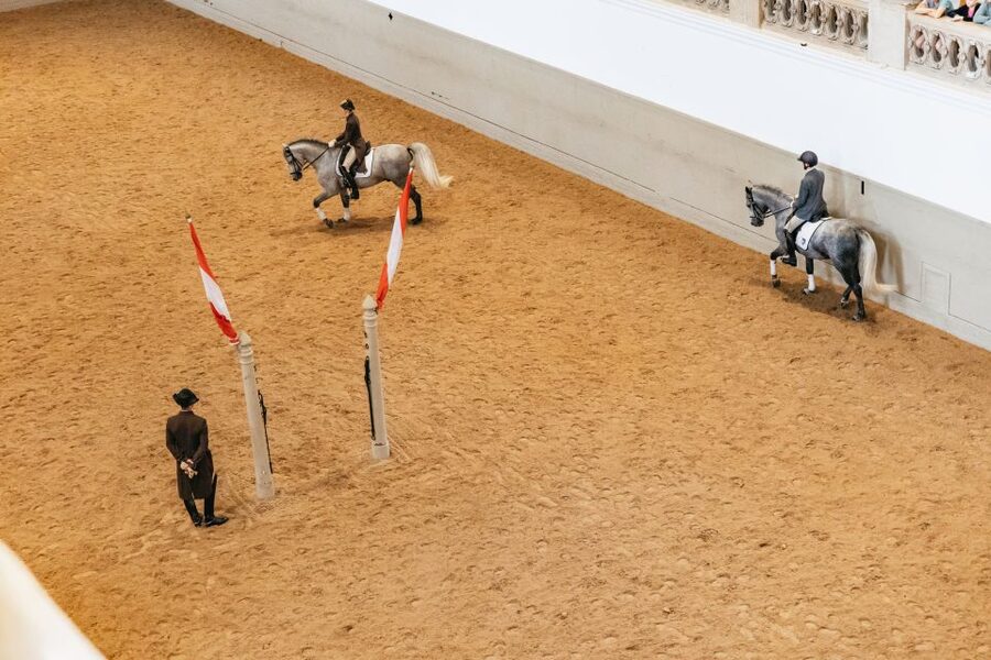 Vienna: Spanish Riding School Training - Access, stairs, and practical limits