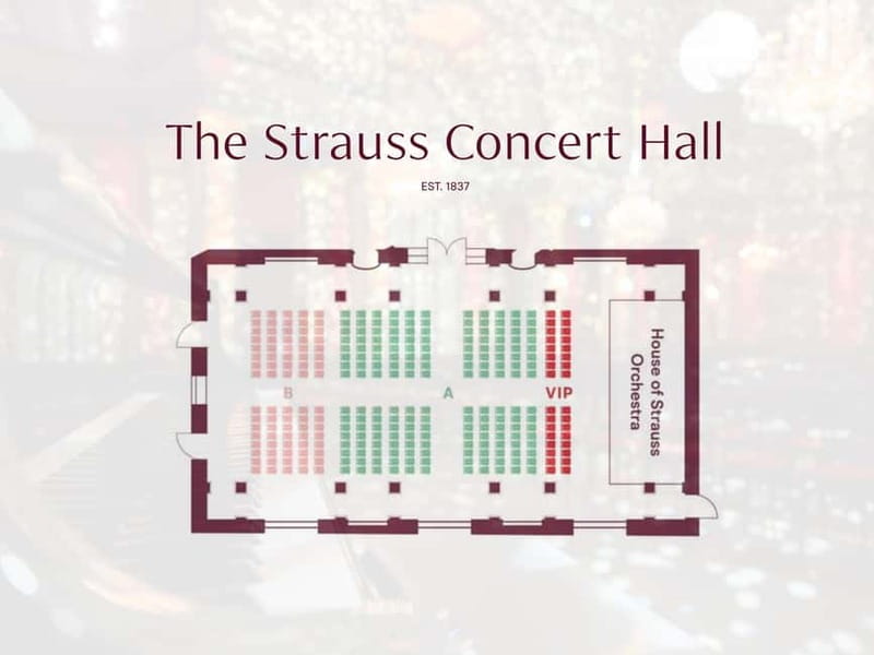 Vienna: Strauss Classical Concert with Soprano & Light Show - Who should book this evening