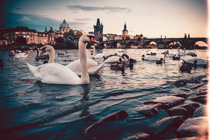 Vienna to Prague - Private Transfer with 2 hours of Sightseeing - Vehicles, luggage, and group value