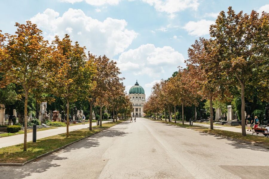 Vienna: Vienna Central Cemetery Guided Walking Tour - Why a Guide Makes Such a Big Difference
