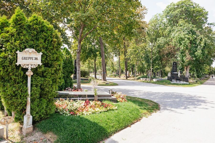 Vienna: Vienna Central Cemetery Guided Walking Tour - Who Will Get the Most from This Tour