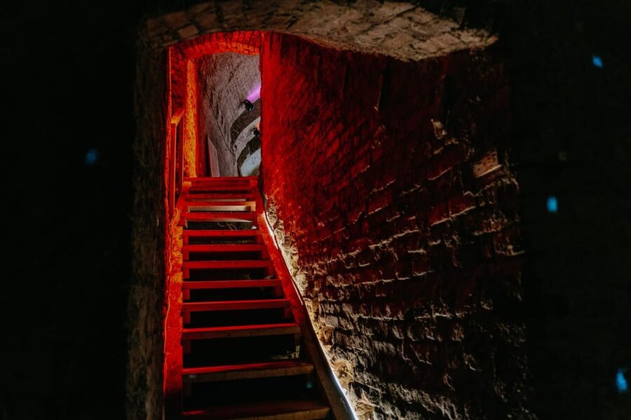 Vienna: Viennese Underworld Guided Walking Tour - Vienna’s city center has a second level