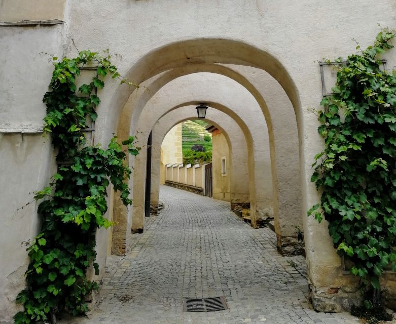 Vienna: Wachau Valley Private Kayak and Wine Tour - Practical preparation for a long river day