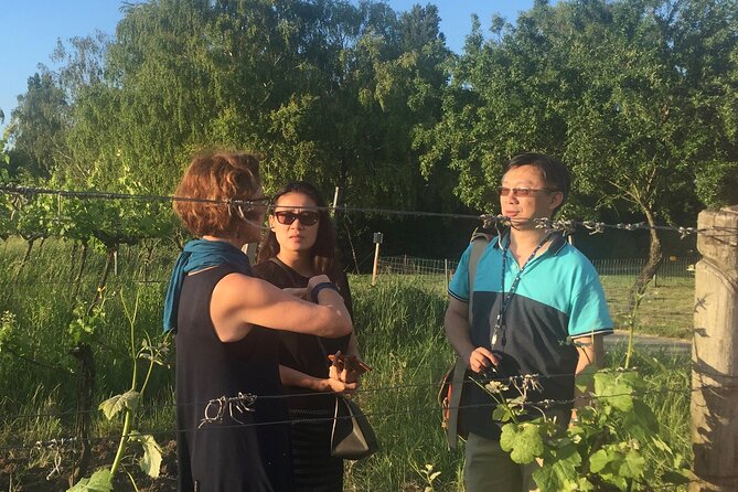 Vienna Wine Experience - Grinzing, Kahlenberg, and the city below