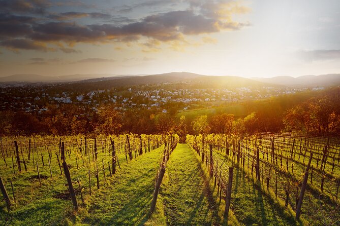 Vienna Wine Experience - The private group makes a difference