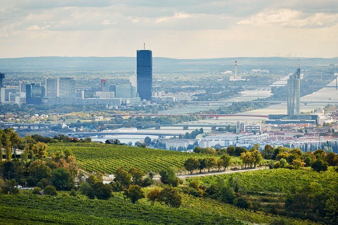 Vienna Wine Experience - Booking timing and weather notes