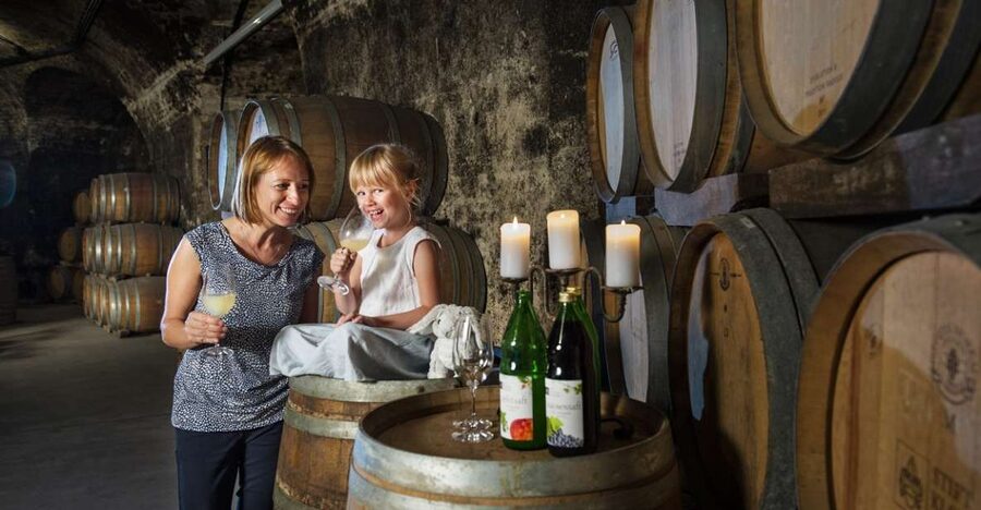 Vienna: Wine Tasting E-Bike Tour - Why the e-bike matters on this four-hour route