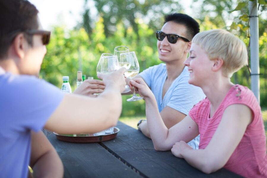 Vienna: Wine Tasting E-Bike Tour - Guides, group rhythm, and the human side